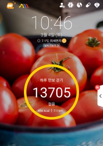 하루 만보 걷기(4일째)