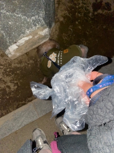 오늘 우리강아지 산책