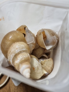 생선가시나 뼈 버릴때 사요합니다