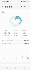 2023보 이상 걷기