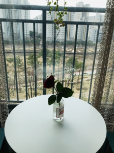 장미꽃 화병이 된 쥬스병