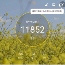 만보 걸었습니다 