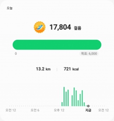 이것은 산책인가 운동인가