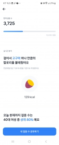 비가 와서 3천보 밖에 못 걸었어요ㅜㅜ
