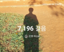 황토맨발길을 걸었어요. 맨발에 닿는 감촉이 좋아요.  