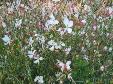 유튜브 보며 정리 도전_저도 할 수 있는 사람이었어요!