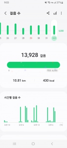 11월 1일 걷기 인증