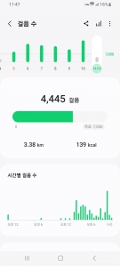 11월 11일 걷기인증