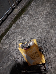 쓱데이 장보고 집 가는 중에