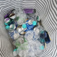 씻고 말려서 보내질 준비하는 중