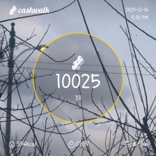 2023보이상 걷기인증