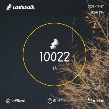 2023보이상 걷기인증