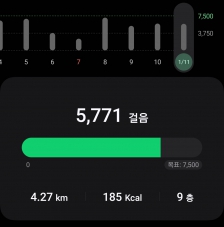 엘리베이터 대신