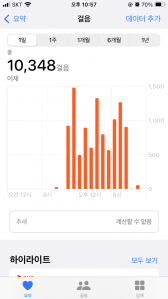 2030보 이상걷기