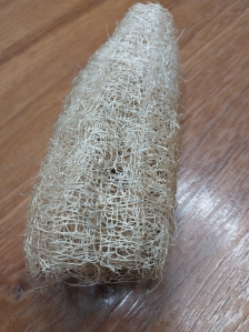 오늘부터. 우리집수세미