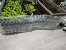 택배에 온 뾱뾱이 