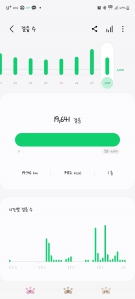 2023보 이상 걷기!