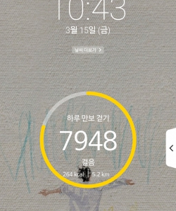 2023보 이상 걷기 챌린지