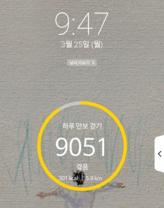 2023보 이상 걷기 챌린지