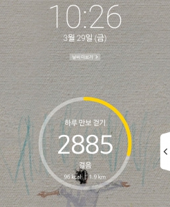 2023보 이상 걷기 챌린지