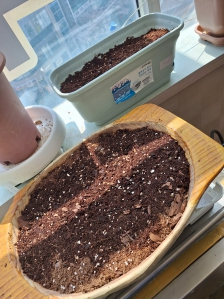 상추,오이재배하기