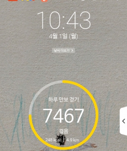 2023보 이상 걷기 챌린지