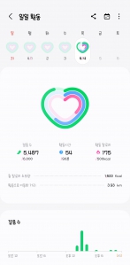 2023보이상 걷기 