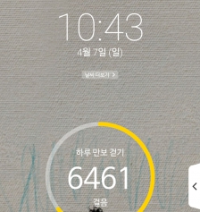 2023보 이상 걷기 챌린지