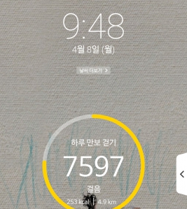 2023보 이상 걷기 챌린지