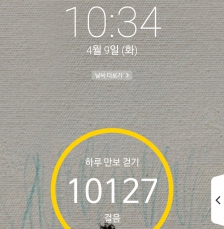 2023보 이상 걷기 챌린지