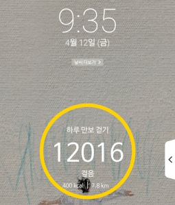 2023보 이상 걷기 챌린지