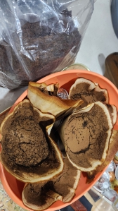 원두는 모아서 거름으로