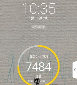 2023보 이상 걷기 챌린지