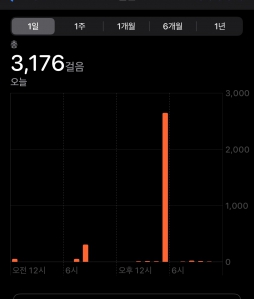 2023보 이상 걷기 챌린지