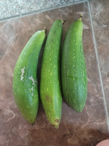 친환경을 위해 수세미도 직접 키워 사용해요