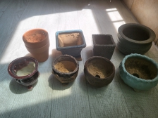 빈화분 나눔했넹ᆢㄷ