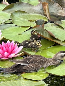 어린이대공원 산책