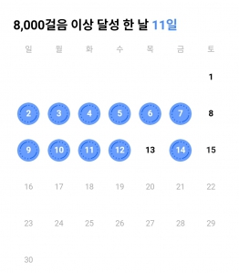 매일걷기도전중