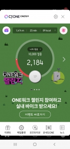 2023보 이상 걷기