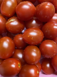 아이스팩도 수거하면 좋겠어요