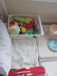 강아지 장난감정리