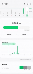 매일챌린지 걷기 인증