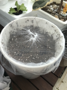 1인가구 음식물쓰레기 처리법!