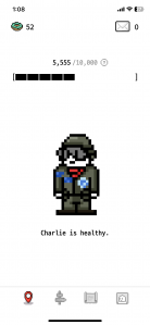 2023보 이상 걷기