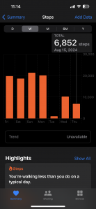 2023보 이상 걷기 챌린지 인증