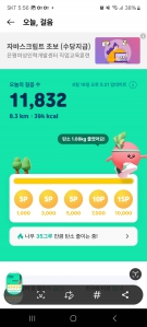 2024보 이상 걷기