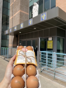 생태환경 실천하며 일하기1