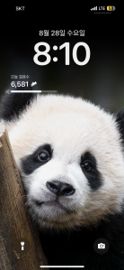 8월 28일 걷기 성공했어요~~