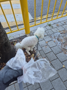 배변봉투 사용하기