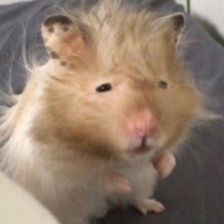 포인트사용시 구매가는 뭔가요?